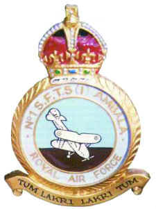 IAF Trainer Aircraft